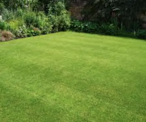 Landscape Lighting Elkhart