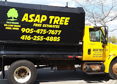 Vehicle graphics and truck lettering in Toronto