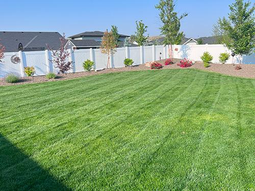 Lawn Mowing Eagle ID