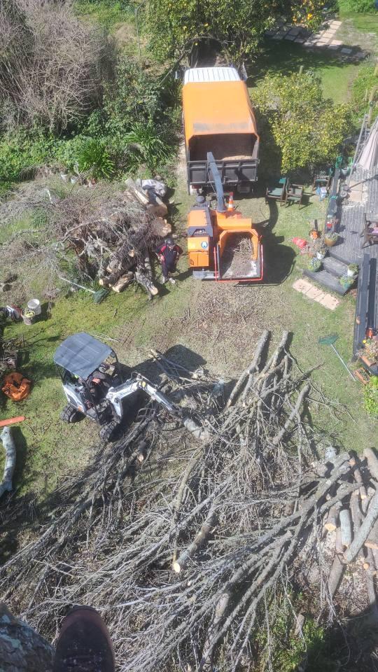 Tree removal and land clearing in Hawke’s Bay