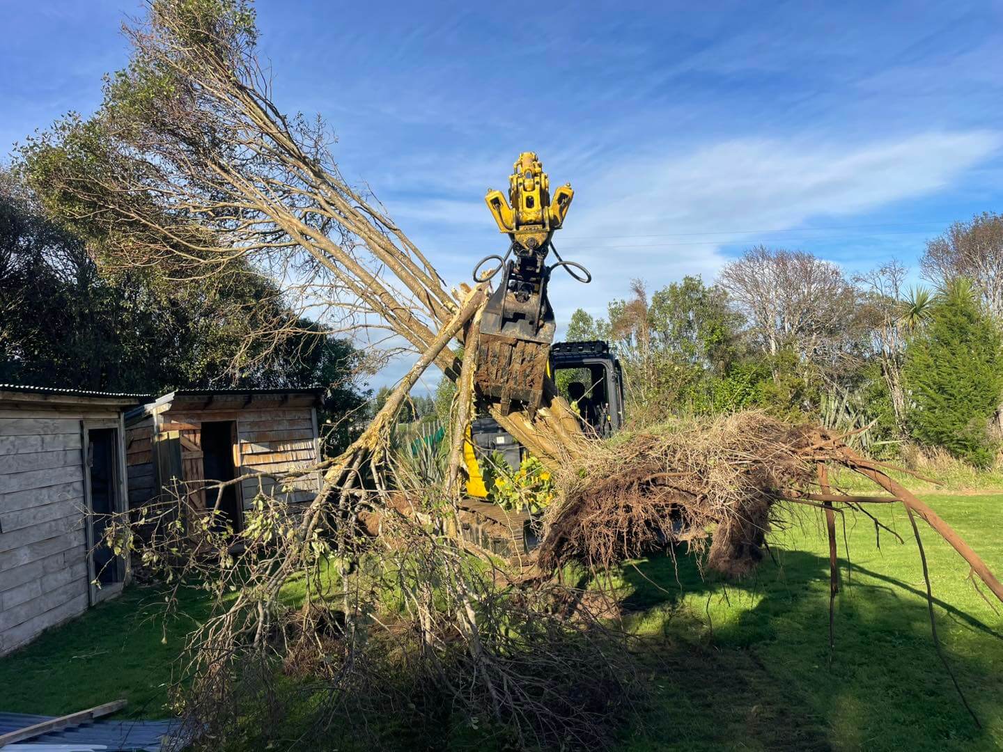 tree removal excavation Southland stump clearing machinery