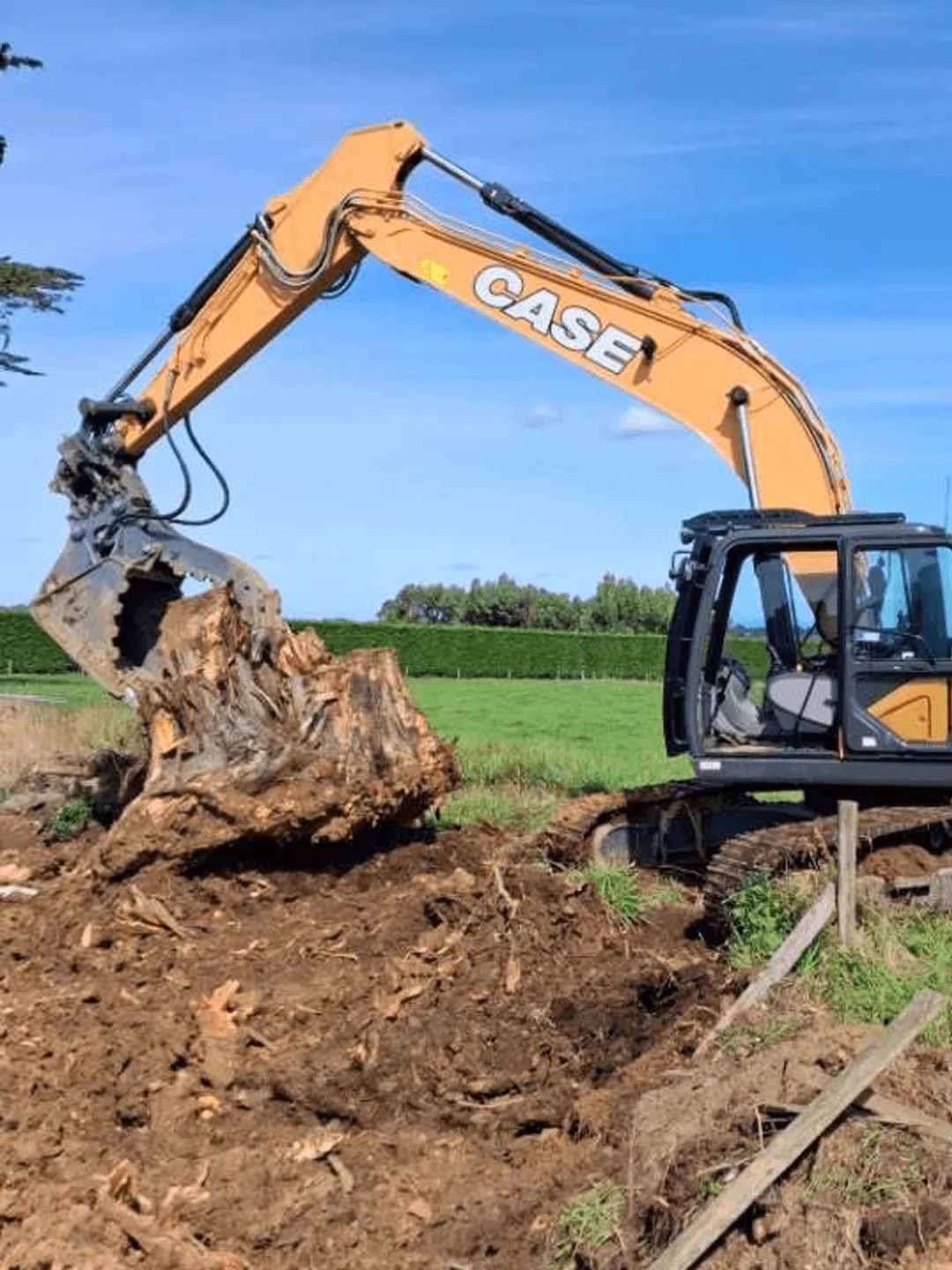 tree and stump removal Southland earthworks
