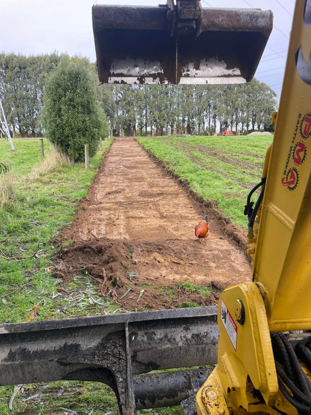 landscaping outdoor work Southland garden preparation