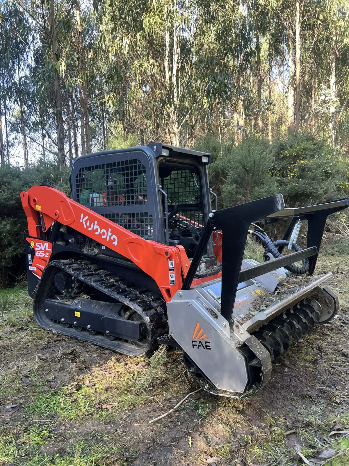 excavator grab loading logs Southland tree removal earthworks