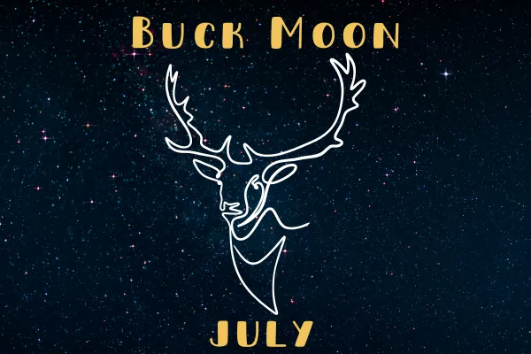 Illustration of a white line-drawn deer head with antlers against a dark starry night sky. The words "Buck Moon" and "July" are written in gold, framed by a gold border.