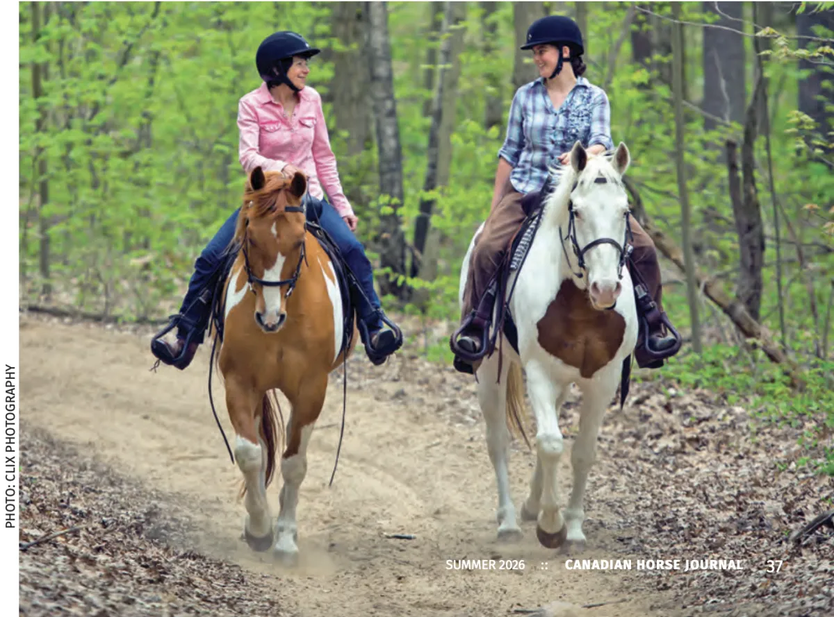 Why senior horses need exercise, not retirement