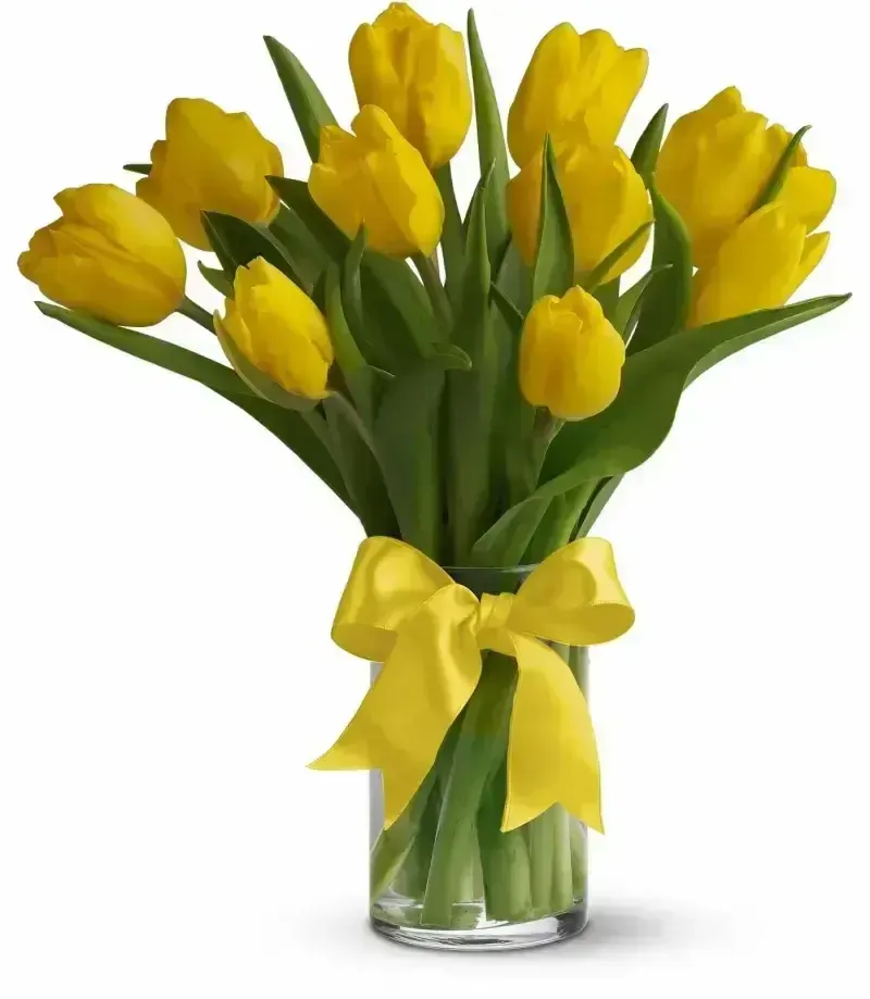 Sunny Yellow Tulips