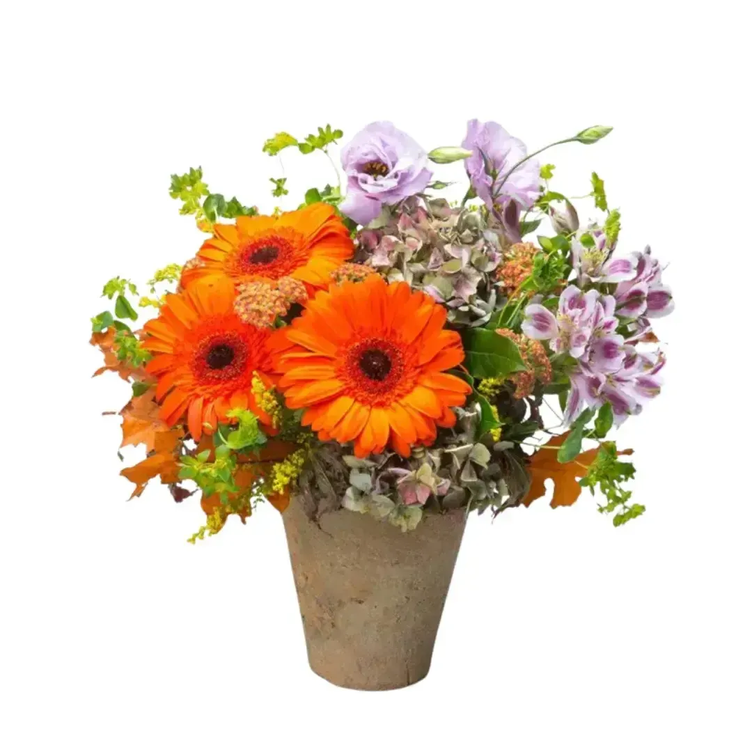 Terracotta Flower Time by Helms Flowers