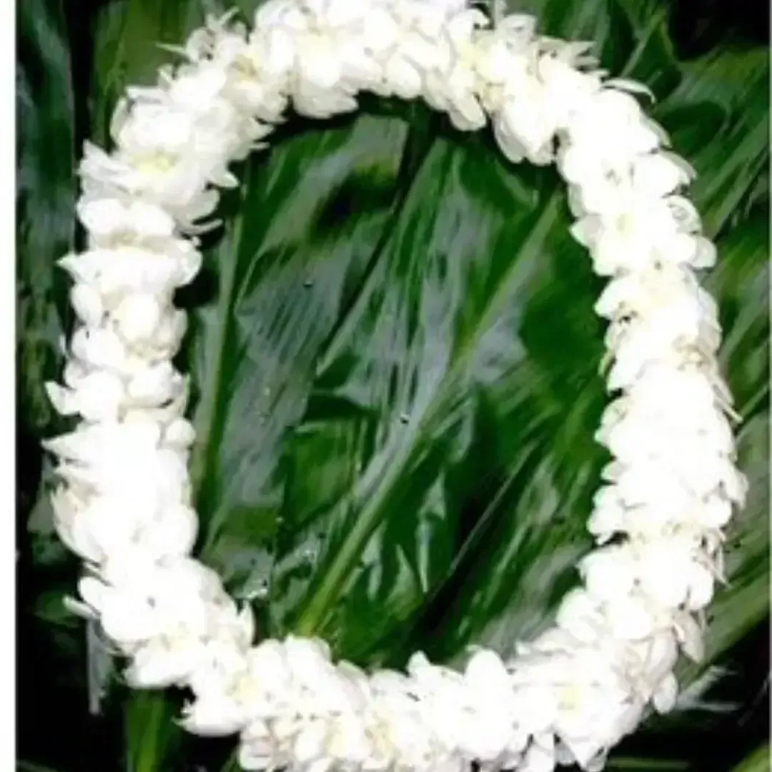 Single Orchid White Lei