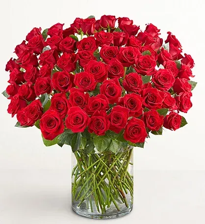 Rose of the Heart premium classic Red Rose