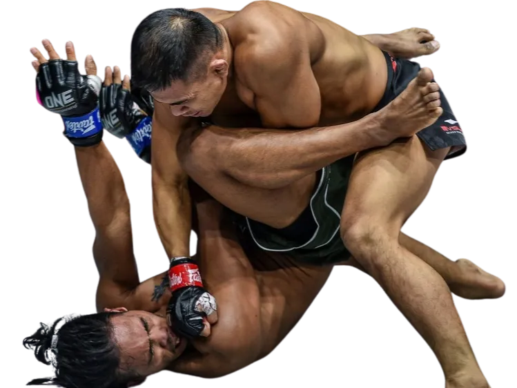 two men fighting mma
