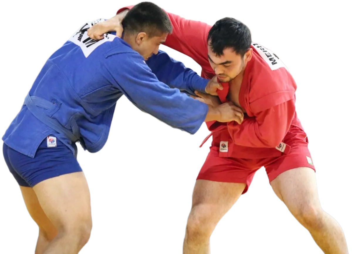 two men wrestling sambo