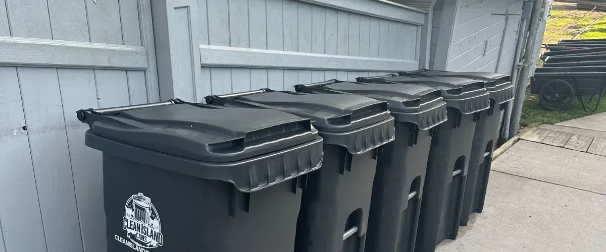 Row of clean trash bins lined up after professional bin cleaning service