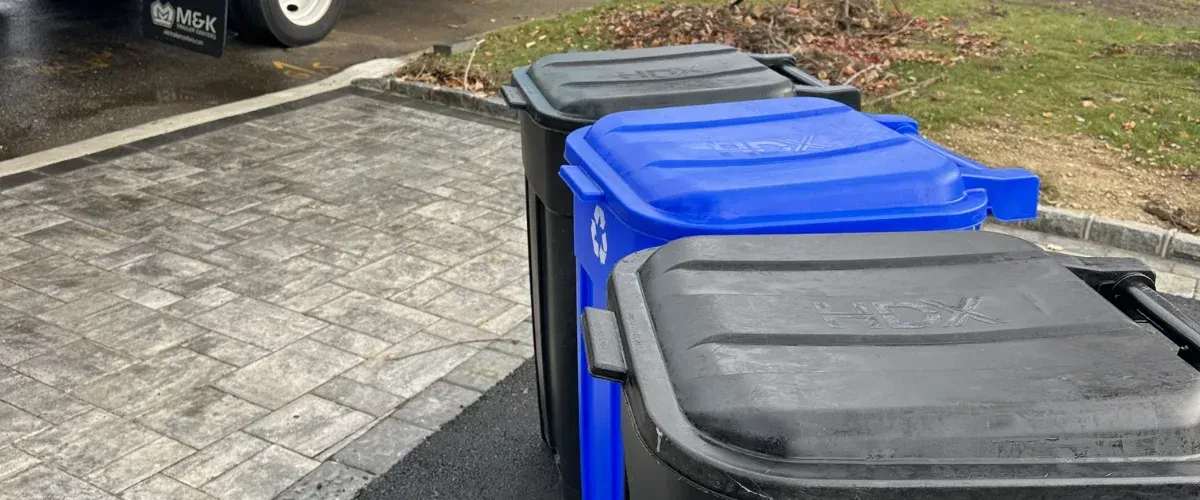 Three bins, one blue and two black, lined up on a wet, paved driveway next to a grass verge.