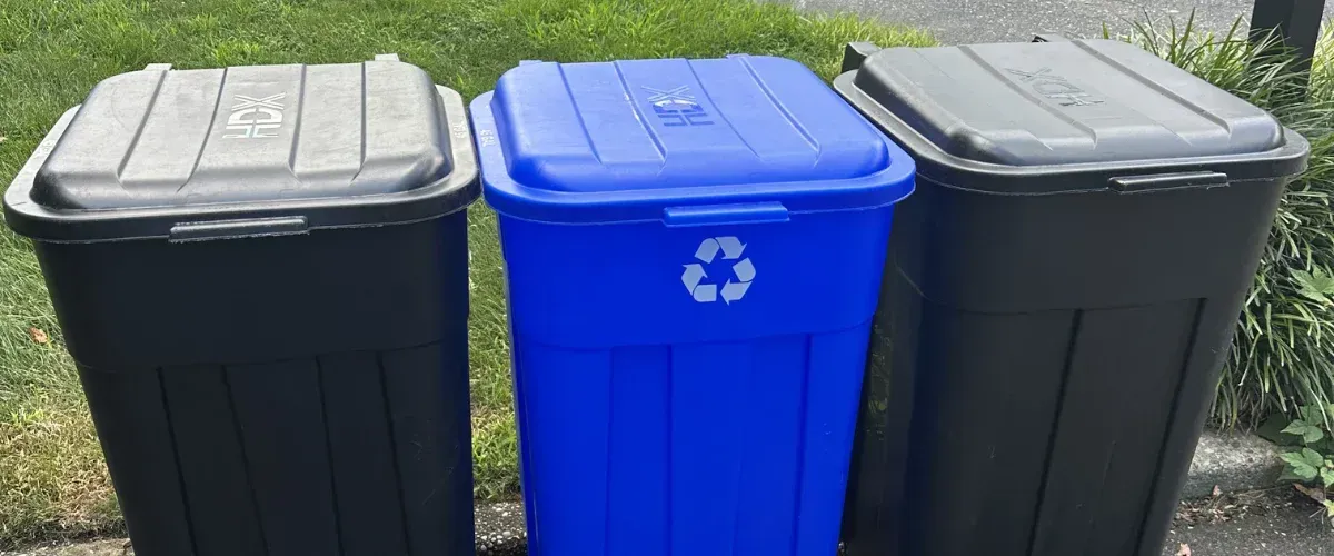 Three bins, two black and one blue with a recycling symbol, stand side-by-side on green grass.