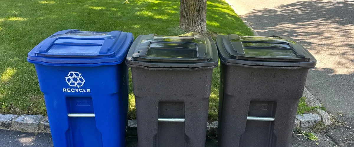 A blue recycling bin and two dark grey garbage bins lined up on a grassy curb under dappled sunlight.