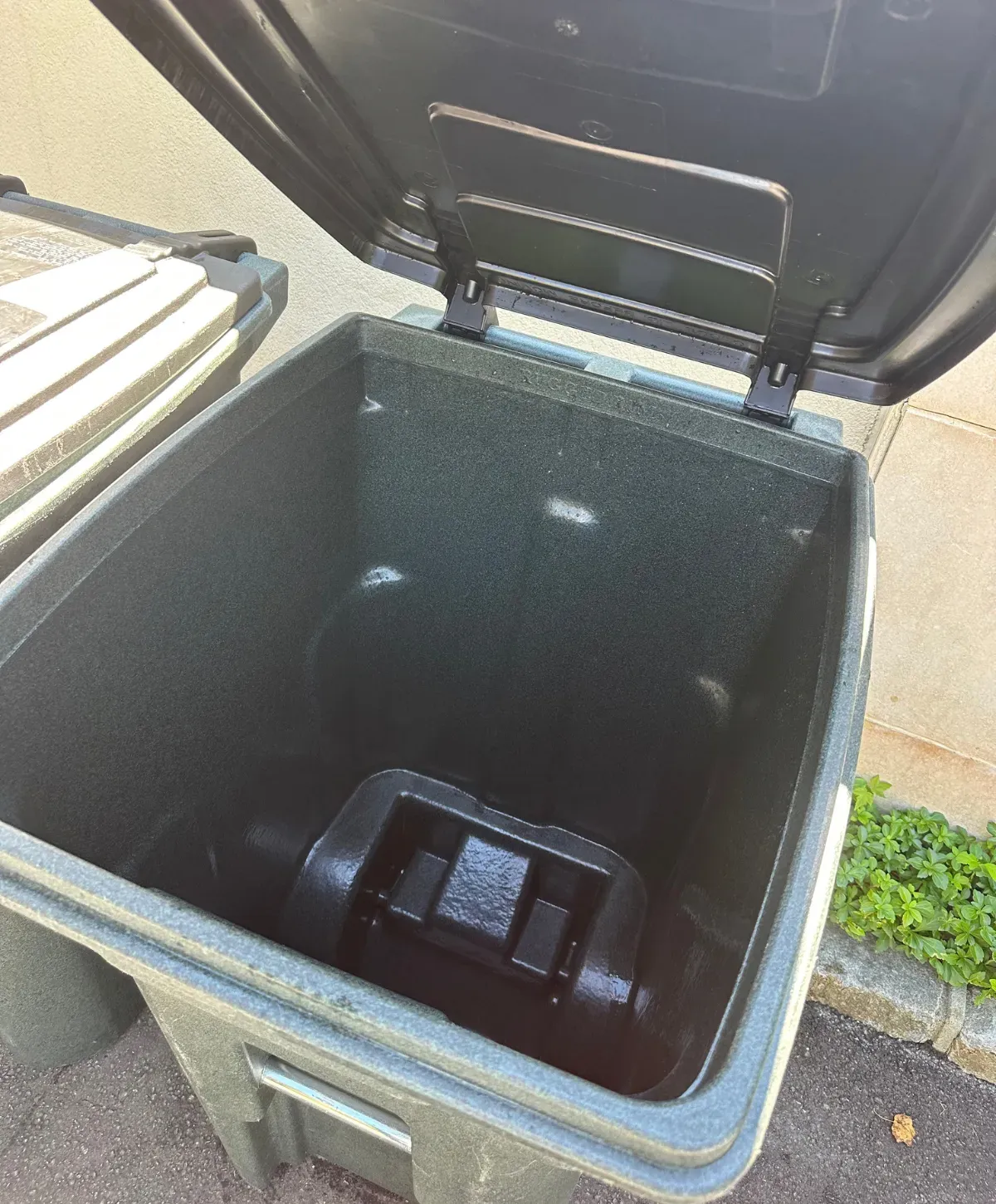 An empty, dark green recycling bin with its lid open, revealing a clean, textured interior and a darker bottom insert.