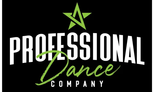 The Professional Dance Company