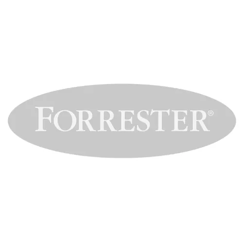Vizualy and Forrester Research