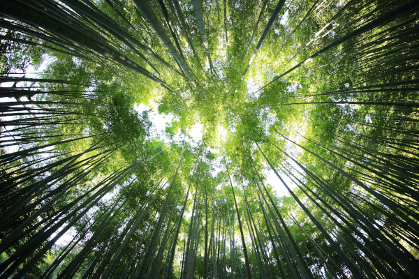 The Triple Bottom Line: Planet, People, Profit