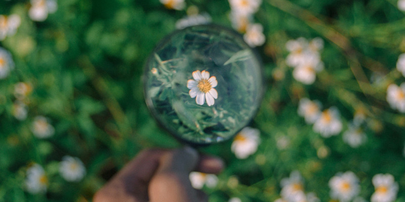 Wisdom of Being Present