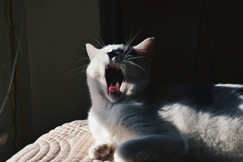 When I wake