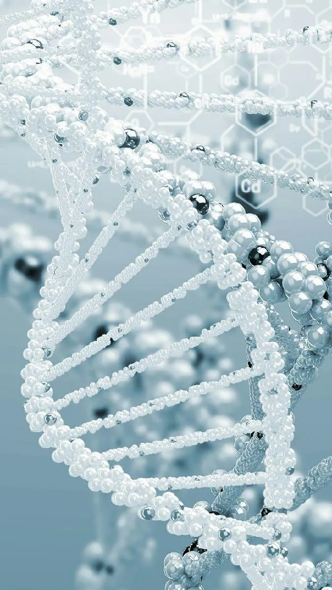 What a Real Executive Health Audit Actually Tests