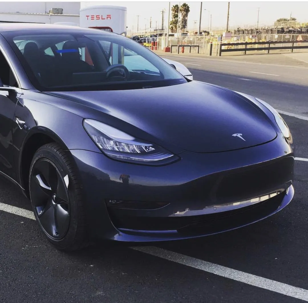 Group of driving instructors and students smiling near training cars