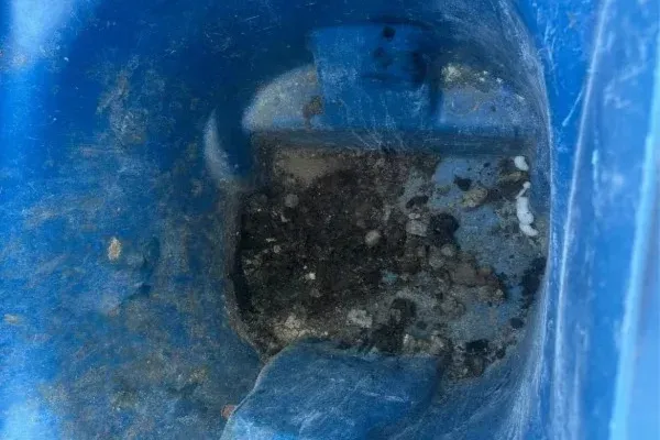 A close-up view inside a dirty blue plastic bin, showing dark soil and small debris accumulated at the bottom.
