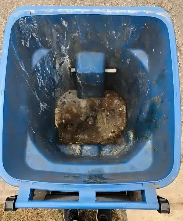 Close-up of the dirty bottom of a blue plastic container with dark soil and debris.
