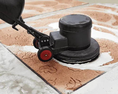 Area Rug Cleaning in Monmouth County