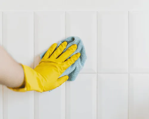 Union County Upholstery Cleaning