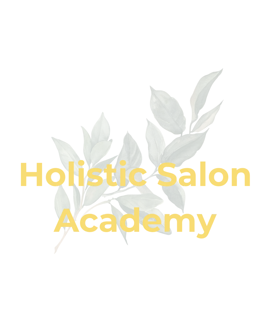 Text for The Holistic Salon Academy 