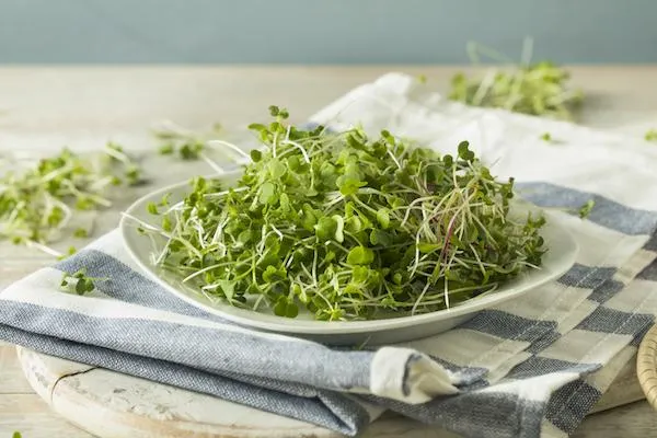 Microgreens For Salads