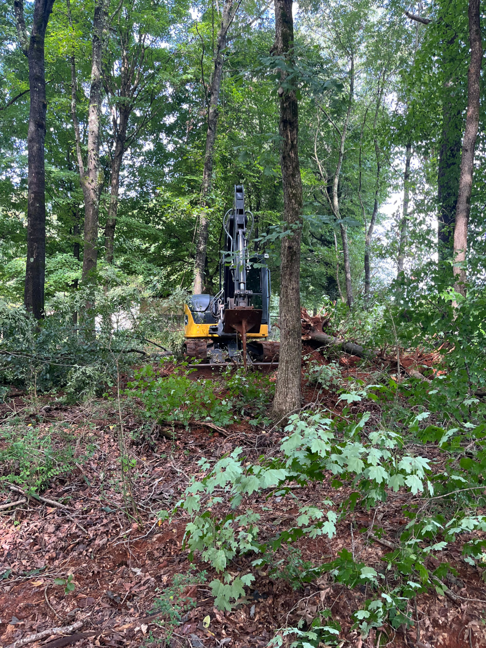 Land Clearing in Athens, AL