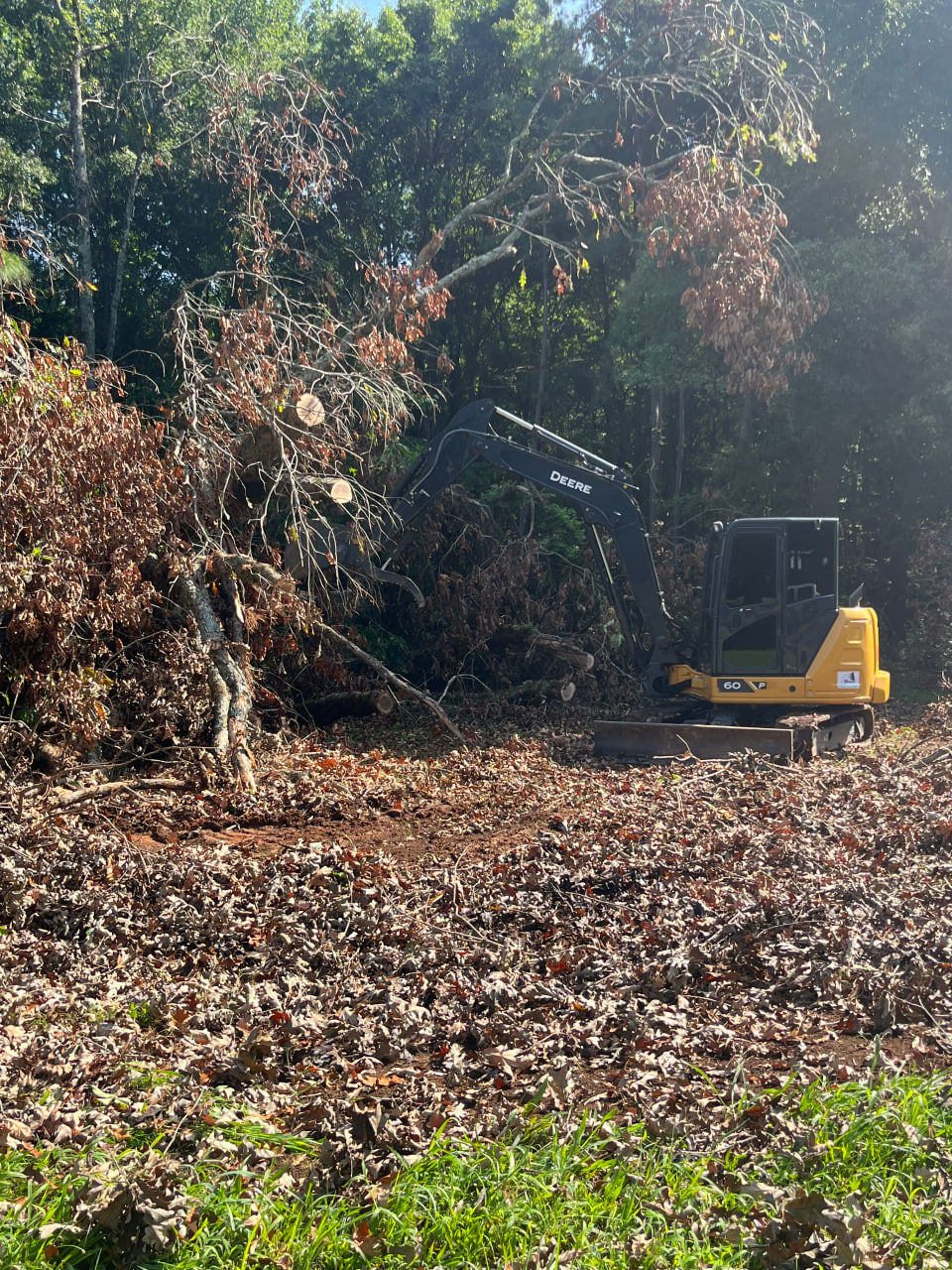 Land Clearing