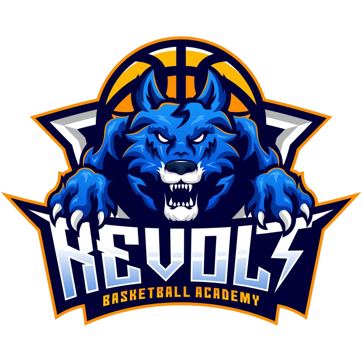 Revolt Basketball Academy