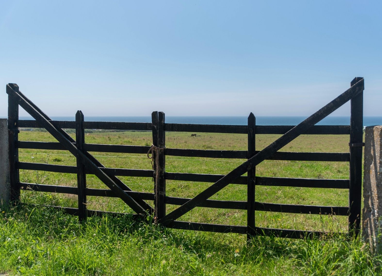 Faribault Cattle Fence Installation