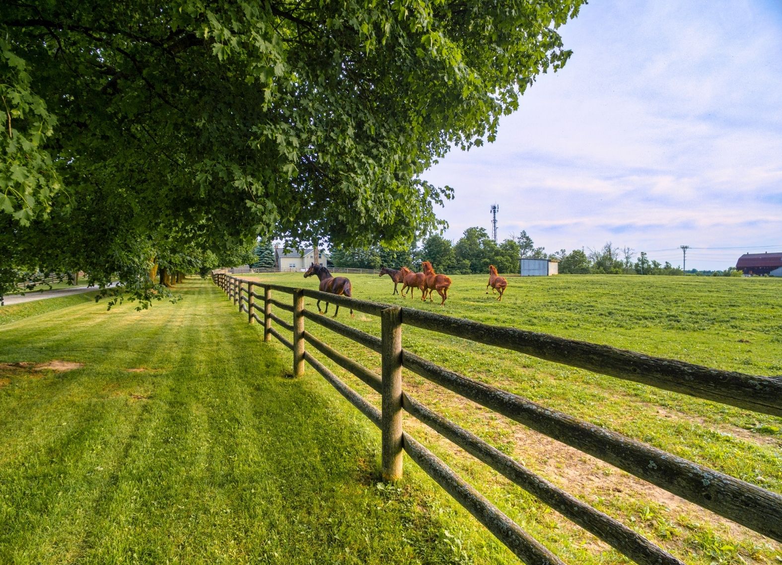 Owatonna Farm Fence Installation