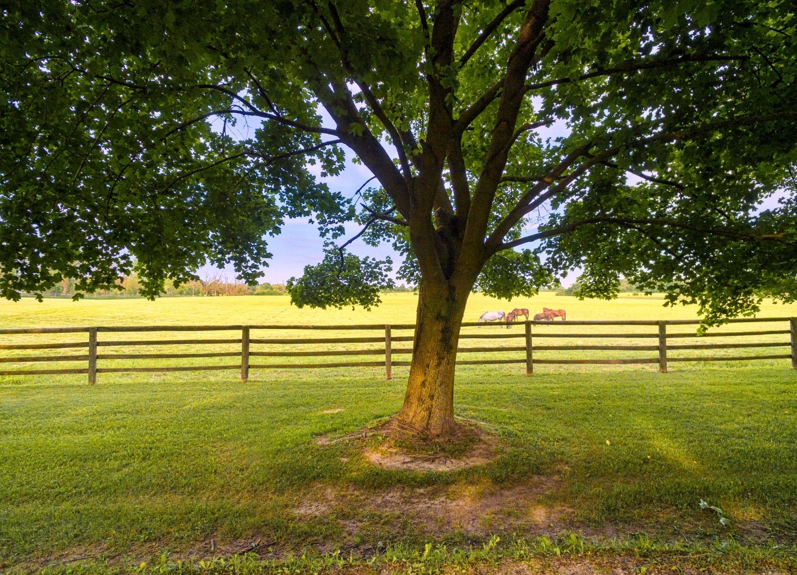 Faribault Farm Fence Installation