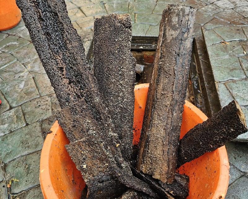 Severe limescale build-up removed from blocked drains in Bournemouth, showing a bucket of extracted scale deposits demonstrating professional drain cleaning results