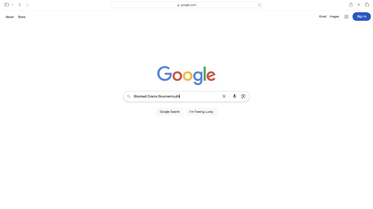 Google search bar with drainage company query being typed in