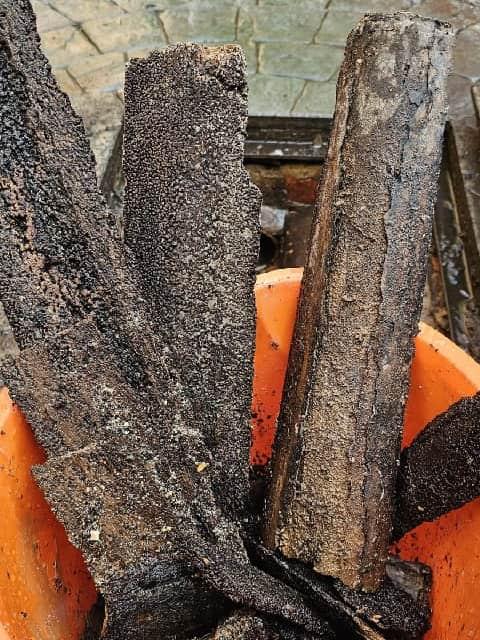 Bucket containing removed scale build-up from a drain cleaning procedure, showing the extent of pipe blockage.