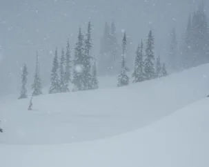 Tiny Homes Built for Extreme Weather