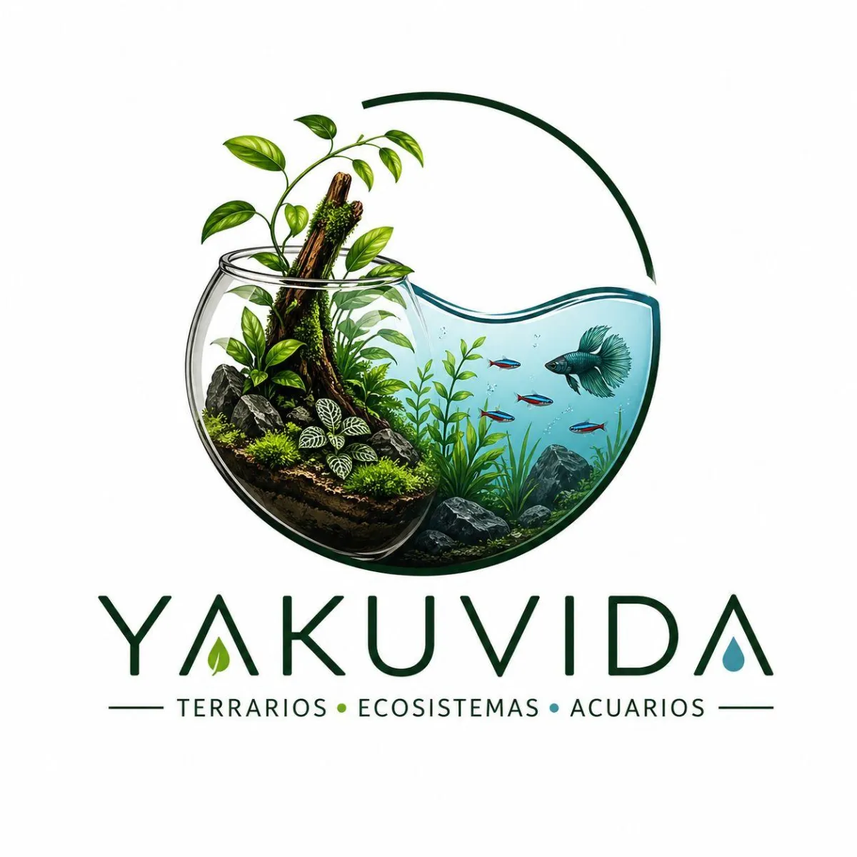 Brand Logo