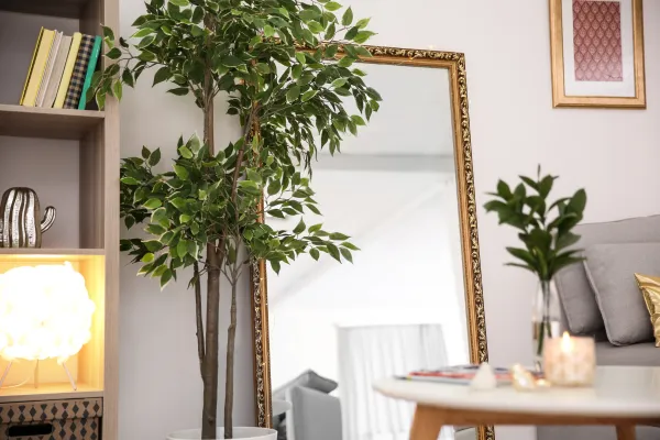 custom framed mirrors in marietta