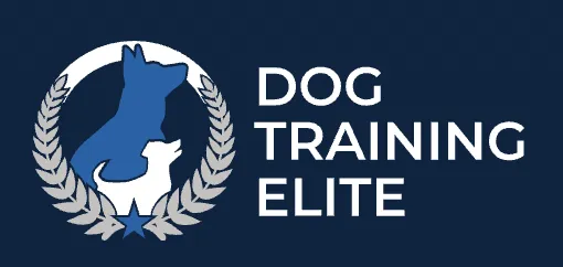 DTE 