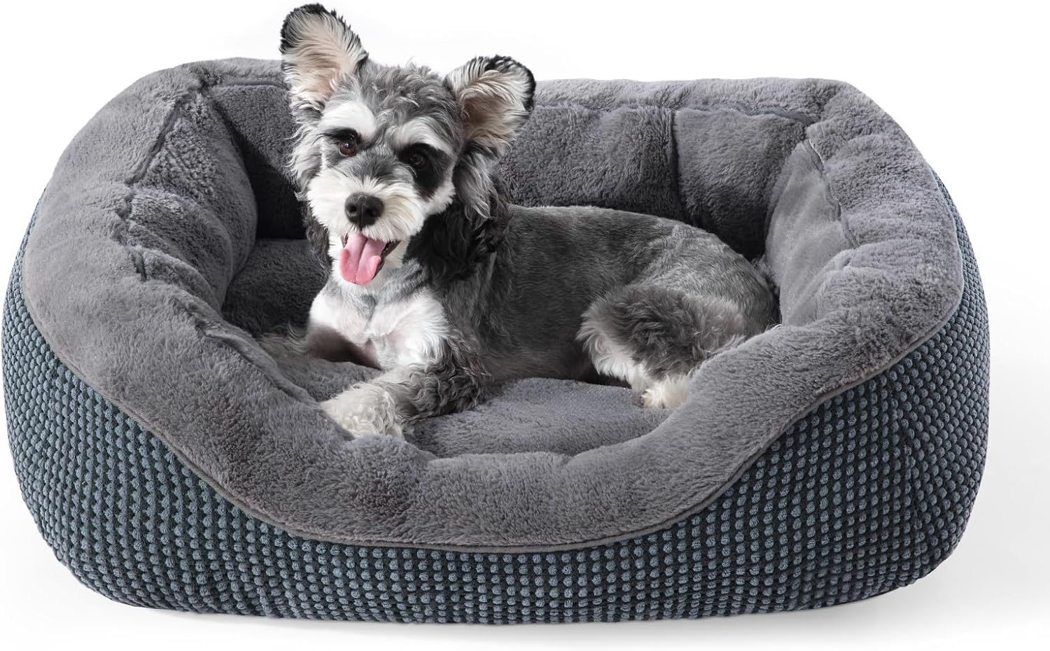 Maltese dog relaxing in plush orthopaedic bed, showcasing soft sleeping surface and supportive raised sides for comfort and security.