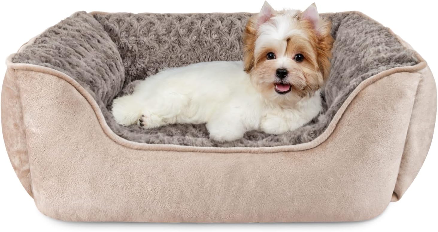 Orthopaedic rectangular sofa bed with plush interior and Maltese dog resting comfortably, designed for secure and restful sleep.