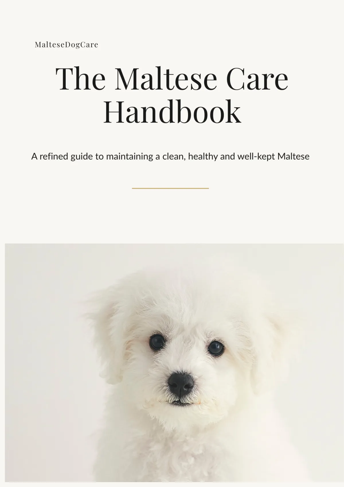 Maltese puppy with fluffy white fur and dark eyes, representing care and grooming for Maltese dogs in the Maltese Care Handbook context.